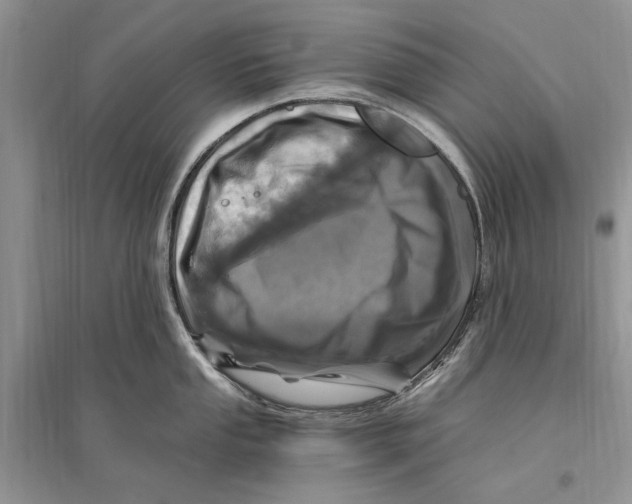 X0000096201053200802151521