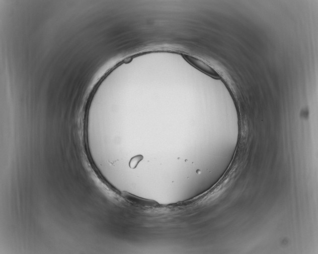 X0000096201054200802151521