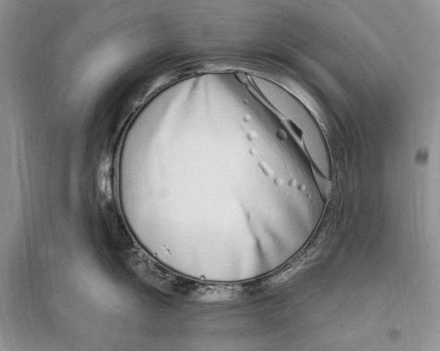 X0000096201055200802151521