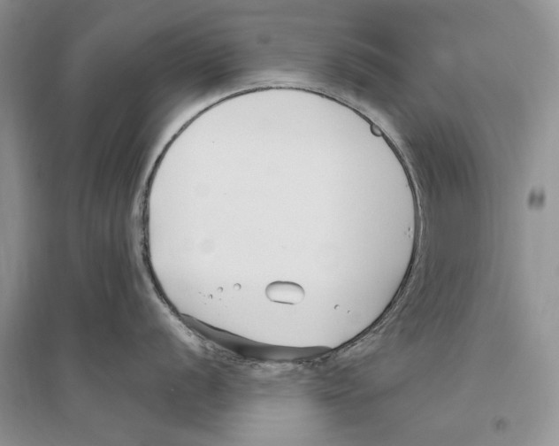 X0000096201056200802151521