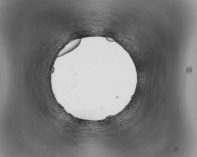 X0000096201057200802151520