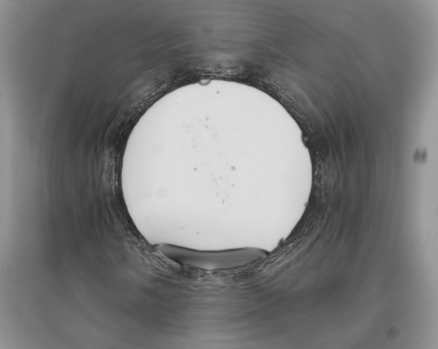 X0000096201058200802151520