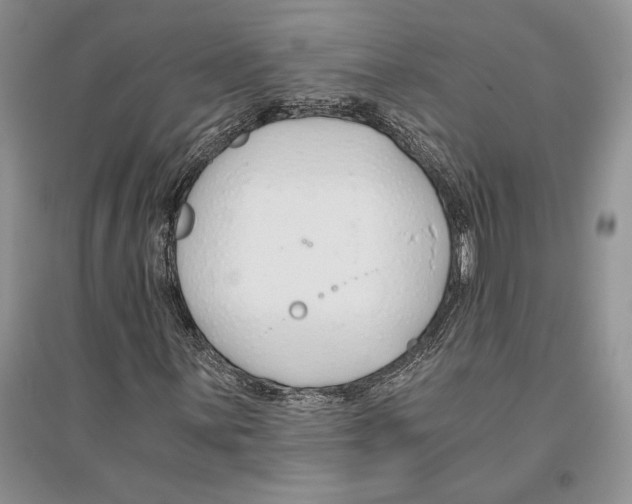 X0000096201059200802151520