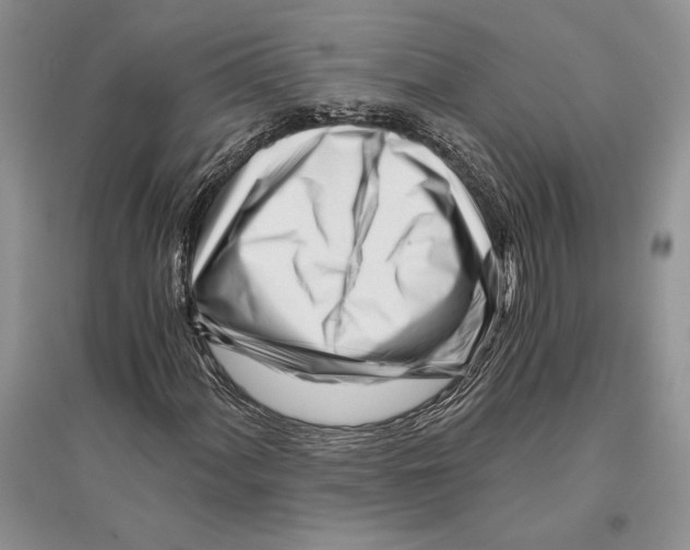 X0000096201060200802151520