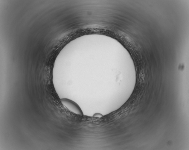 X0000096201062200802151520