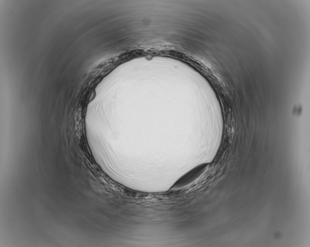 X0000096201063200802151520