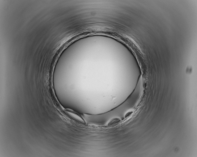 X0000096201065200802151520