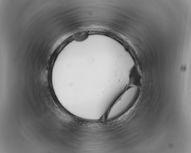 X0000096201066200802151520