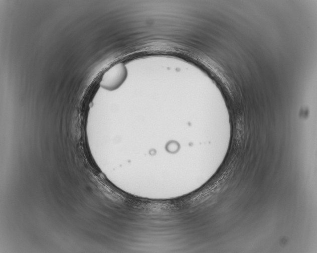 X0000096201067200802151520