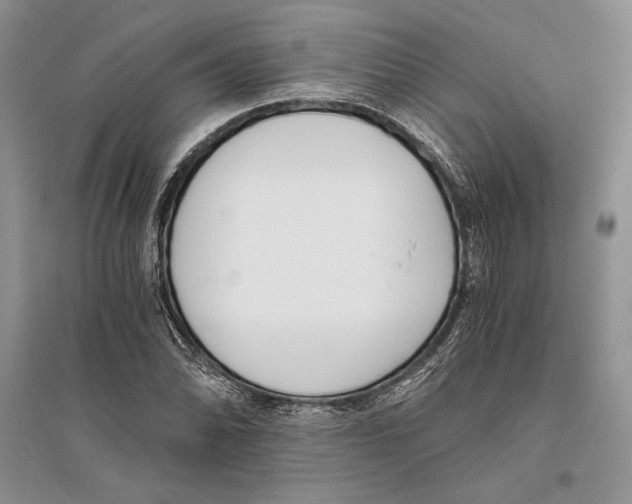 X0000096201070200802151520