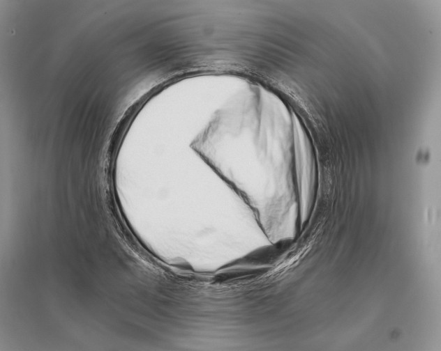 X0000096201071200802151520