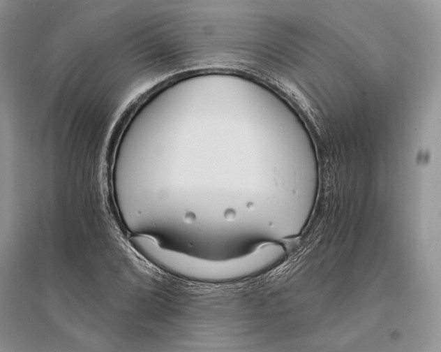 X0000096201072200802151520