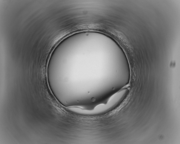 X0000096201073200802151520