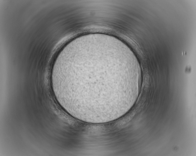 X0000096201074200802151520