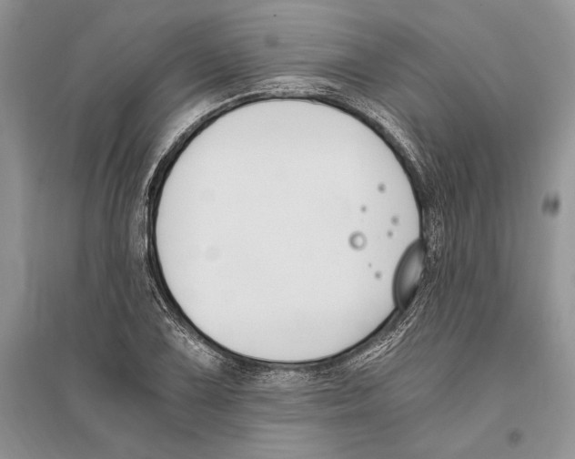 X0000096201075200802151520