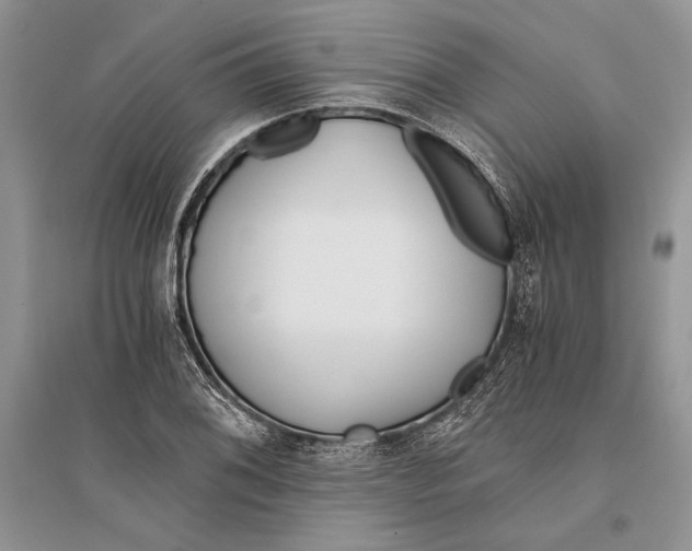 X0000096201076200802151520