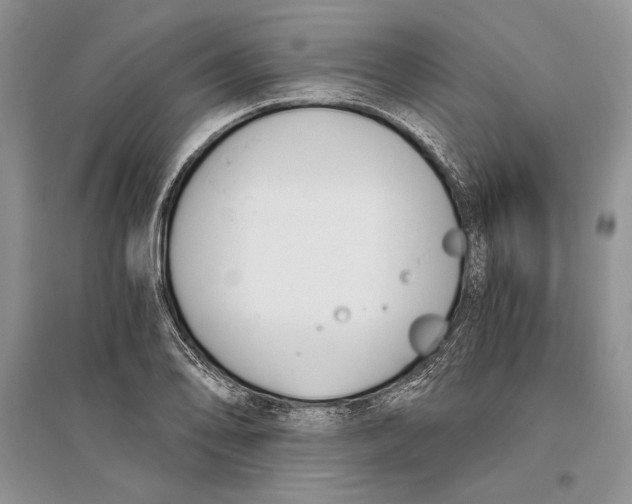 X0000096201078200802151520