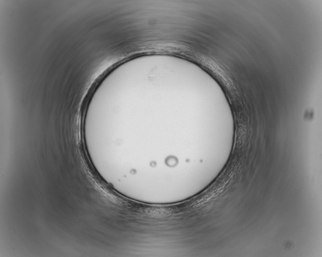 X0000096201079200802151520