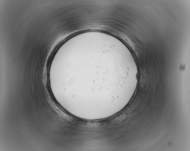 X0000096201080200802151520