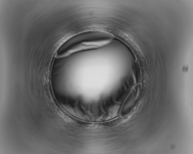 X0000096201081200802151520