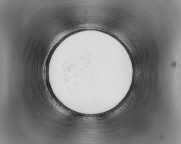 X0000096201082200802151520