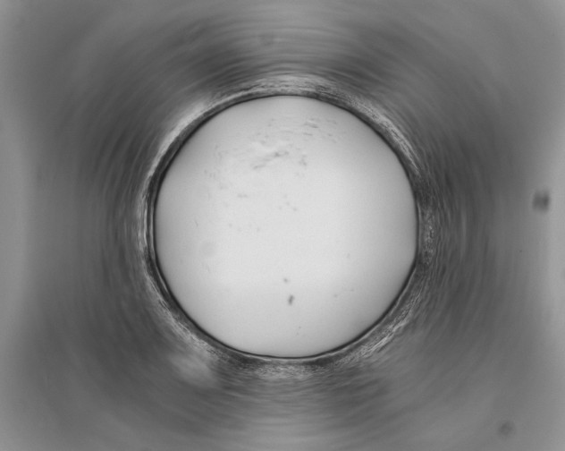 X0000096201083200802151520