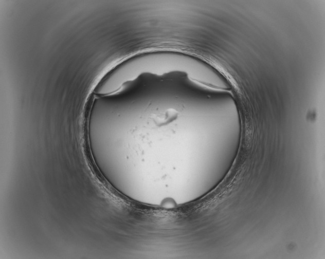 X0000096201085200802151520