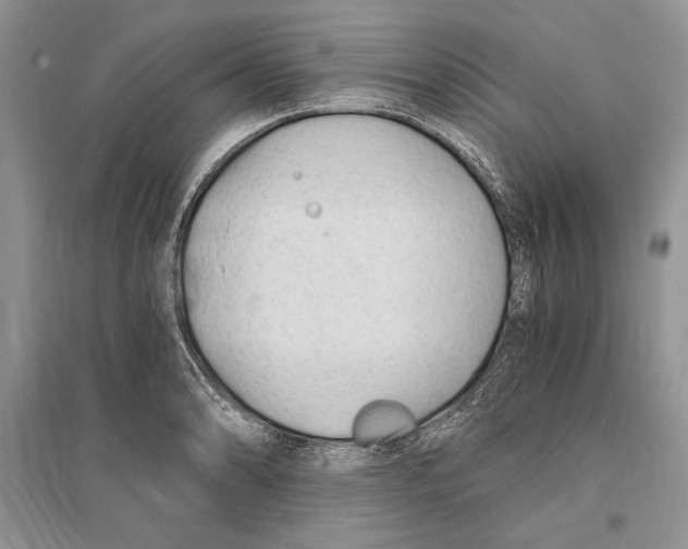 X0000096201086200802151520