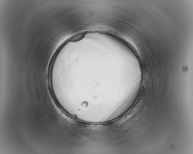 X0000096201087200802151520