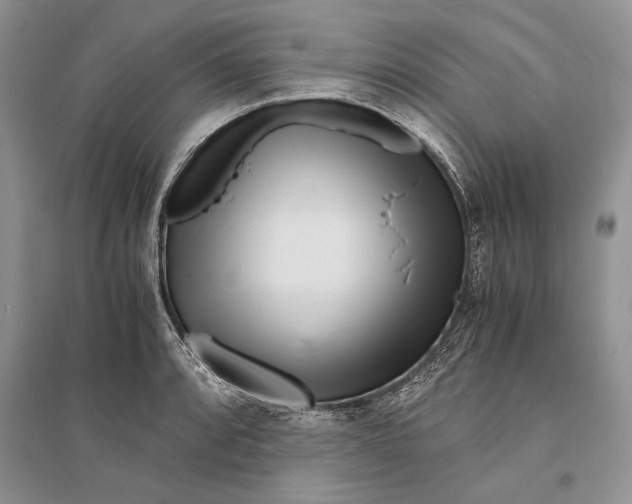 X0000096201088200802151520