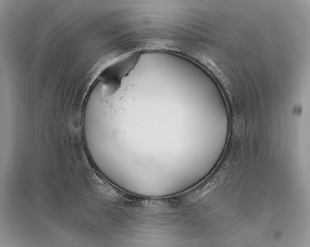 X0000096201089200802151520