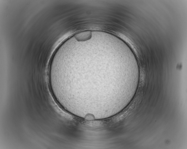 X0000096201090200802151520