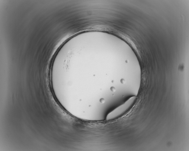 X0000096201091200802151520