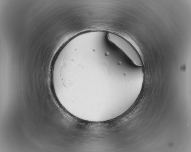 X0000096201093200802151520