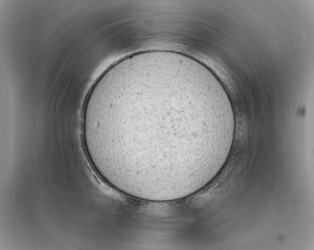 X0000096201094200802151520