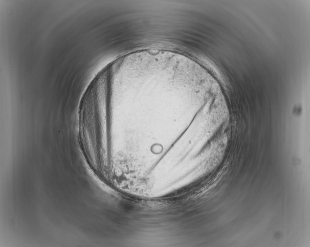 X0000096201095200802151520