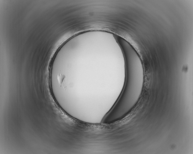 X0000096201096200802151520