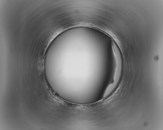 X0000096201097200802151520