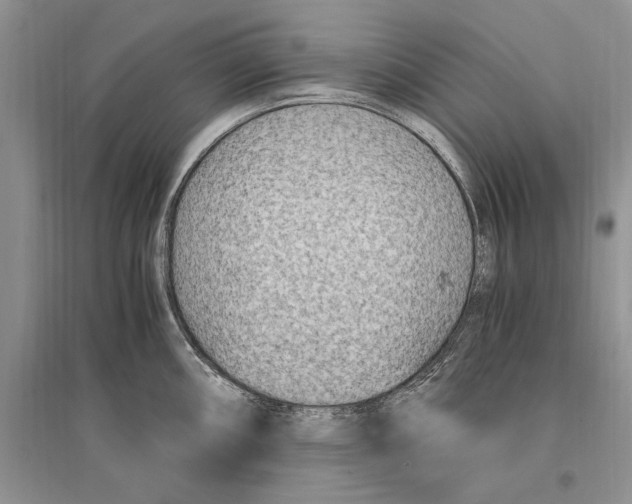 X0000096201098200802151520