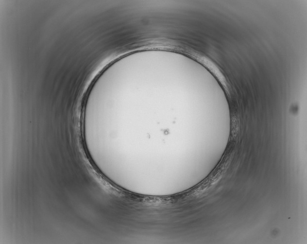 X0000096201099200802151520