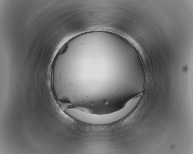 X0000096201102200802151520