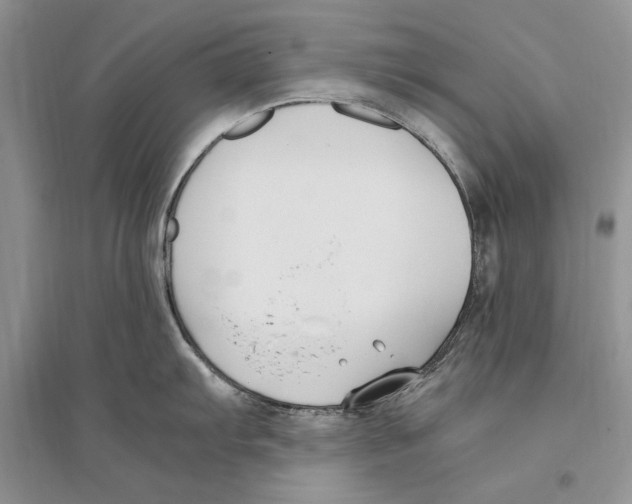 X0000096201103200802151520