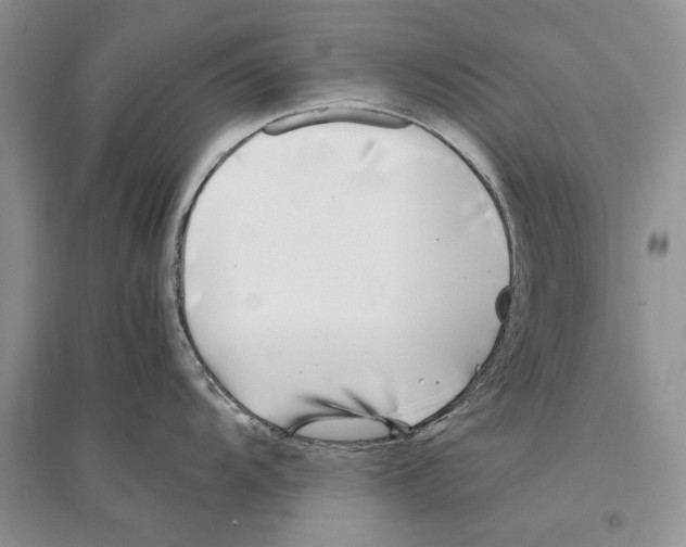 X0000096201104200802151520