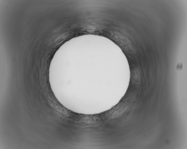 X0000096201105200802151519