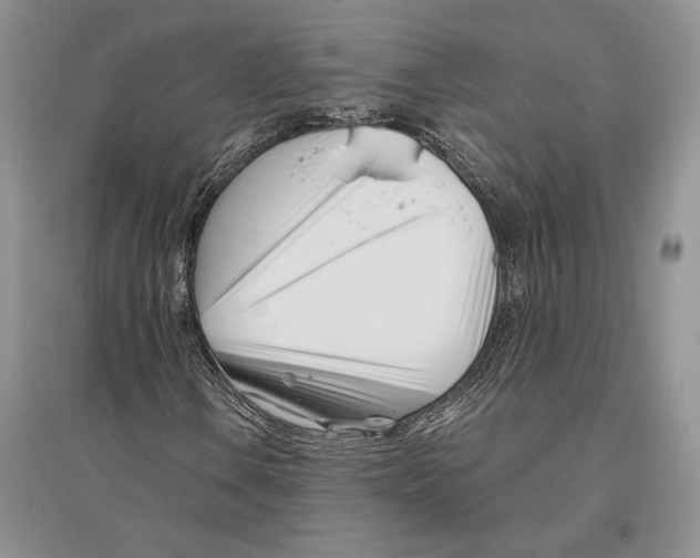 X0000096201106200802151519