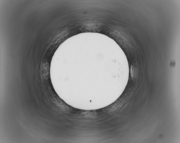 X0000096201107200802151519