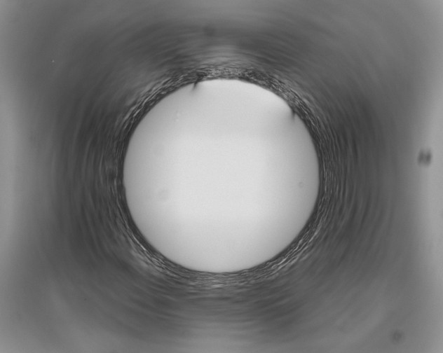 X0000096201108200802151519