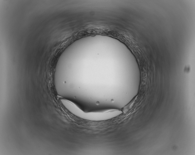 X0000096201109200802151519