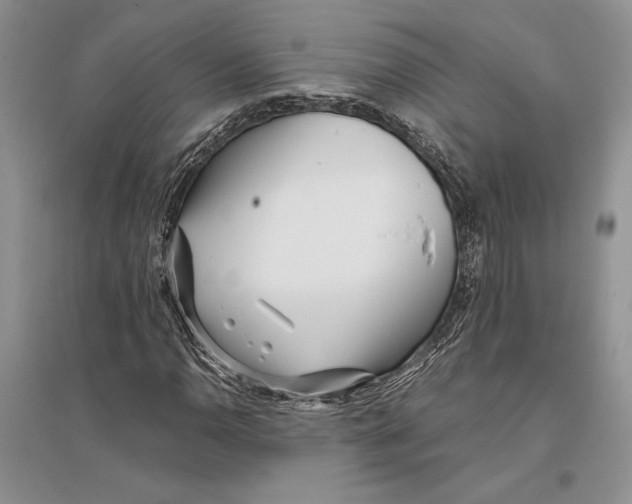 X0000096201110200802151519