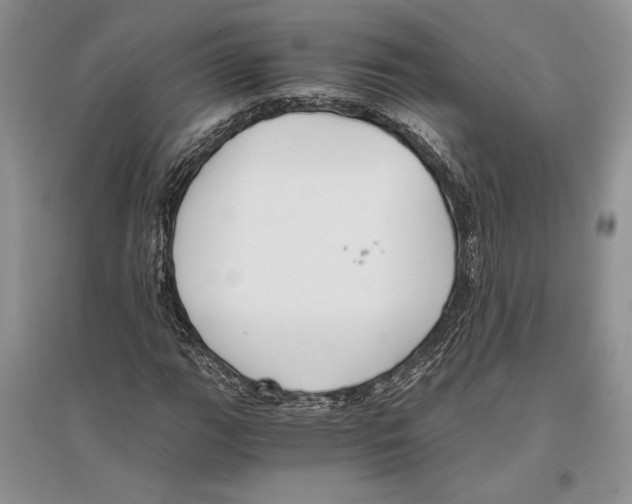 X0000096201111200802151519